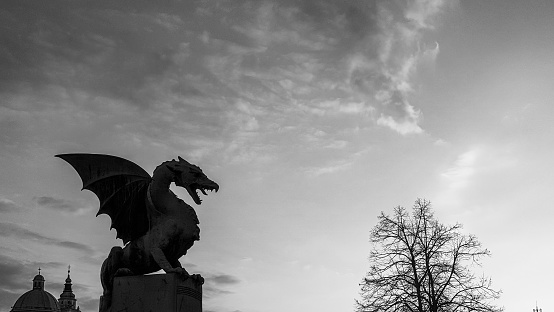Beautiful black and white photo of the dragon silhouette in Ljubljana 16x9