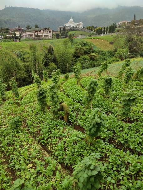 istock Tawangmangu Village, 1403463469