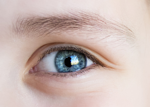 blue eye of a child closeup,blue eyes, blue eye close-up