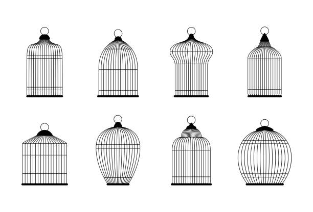 Black silhouettes of bird cages, vector illustration Black silhouettes of bird cages, vector illustration birdcage stock illustrations
