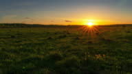 istock Timelapse of a sunset in a spring field with green grass. Video in 4k resolution. 1403466994