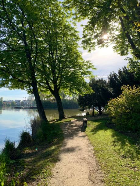 istock A lake in nature. 1403467051