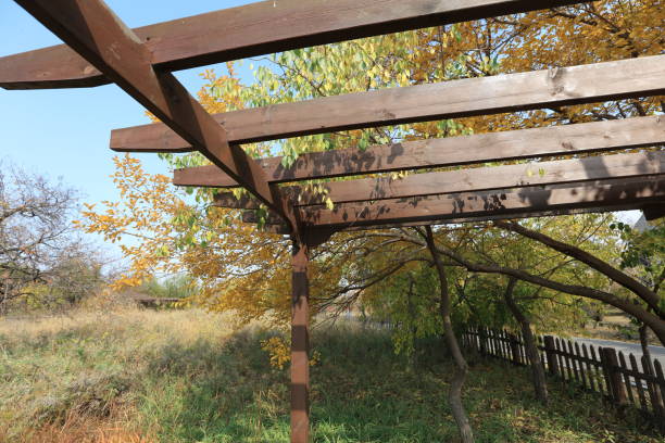 istock Wooden pavilions in autumn 1403467104