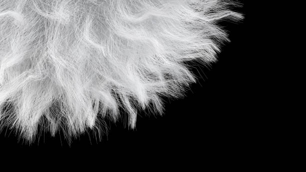 istock Gray hair. Black background. Abstract illustration, 3d render. 1403467675
