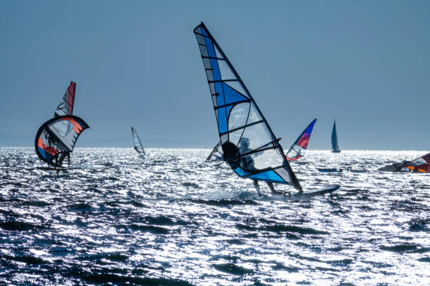 シルエット:黄金の夕日に波に乗っているウィンドサーファーのグループの風光明媚なショット。 - kiteboarding sunlight croatia dalmatia ストックフォトと画像