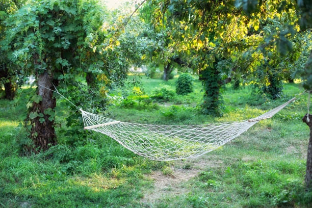 Leisure hammock in the beautiful woods