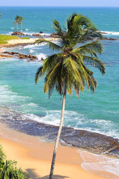 istock beautiful tropical beach landscape with palm 1403468934