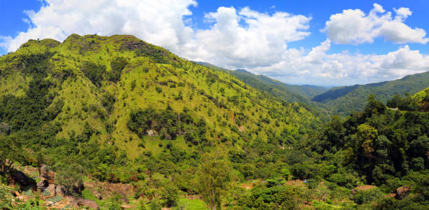 istock mountain panorama landscape in Sri Lanka 1403469826