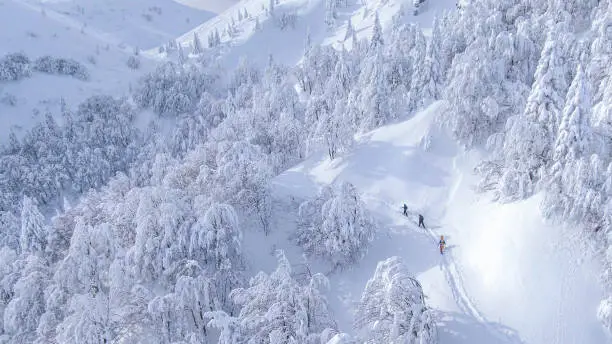 AERIAL: Three active tourists hike along a scenic trail during a fun splitboarding trip in the Slovenian mountains. Flying behind a group of ski tourers hiking up a mountain covered in fresh snow.