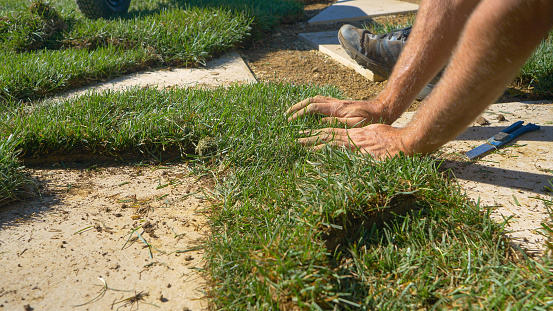 CLOSE UP, LOW ANGLE: Male landscaper cuts a patch of grass with a sharp industrial knife while renovating a backyard by replacing the lawn tiles. Contractor is shaping up squares of artificial grass.