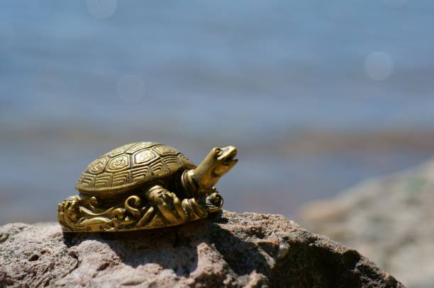 istock A metal turtle on the riverbank. 1403474403