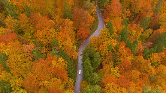 AERIAL: White car cruises along empty road leading through the forest changing leaves on a misty day in October. Drone shot of a car driving around the vivid autumn colored Slovenian countryside.