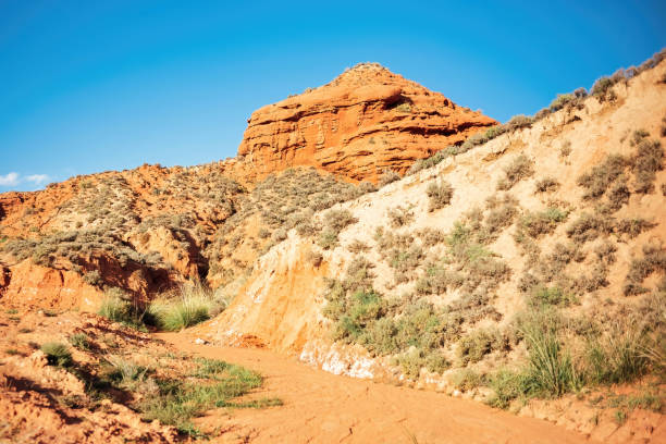 istock Valley of Kanas landform 1403483933