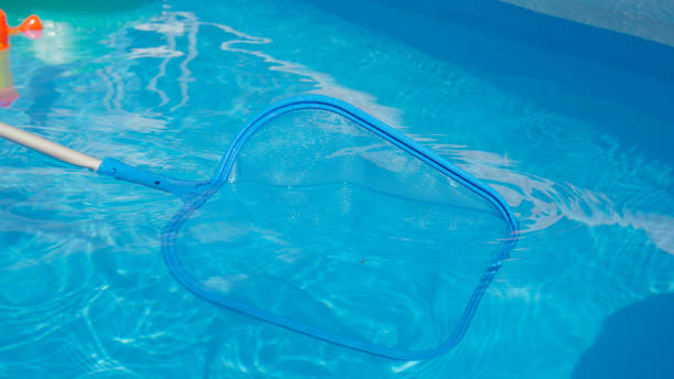 istock CLOSE UP: Unrecognizable person is cleaning the glassy pool in their backyard. 1403484320