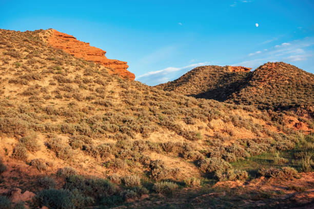 istock Valley of Kanas landform 1403484678