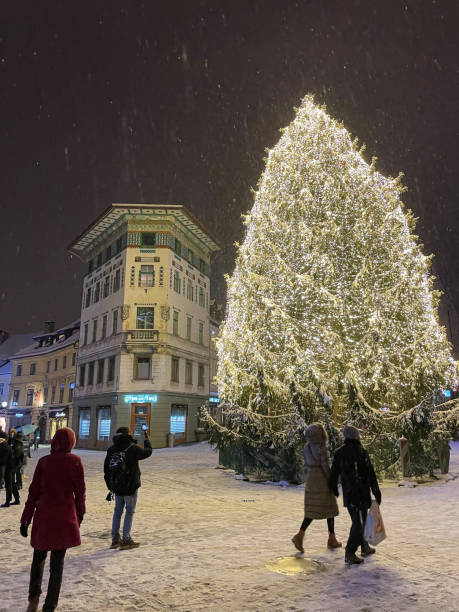 vertikal: touristen bestaunen den riesigen weihnachtsbaum mitten in ljubljana - ljubljana december winter christmas stock-fotos und bilder