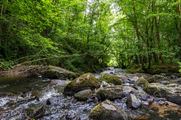 istock Cance River at Mortain on a sunny spring day 1403488531