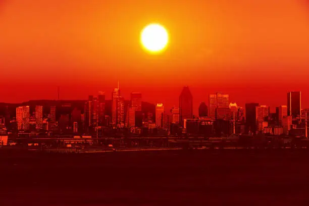 Photo of City hit by extreme heatwave