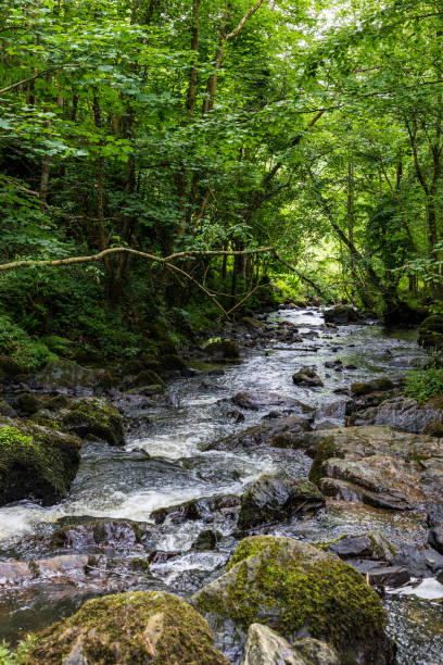 istock Cance River at Mortain on a sunny spring day 1403490195