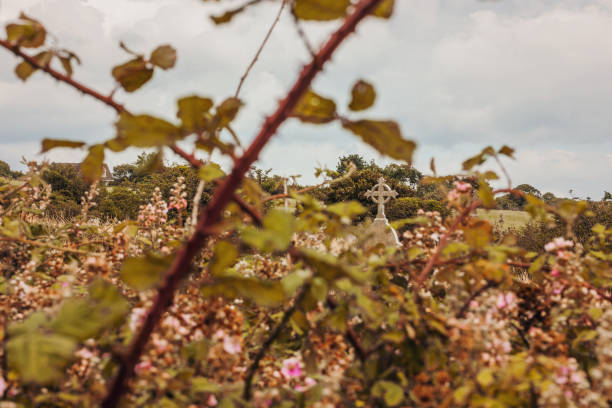 Celtic cross in Kinsale, County Cork, Ireland - The Celtic cross is a form of Christian cross featuring a nimbus or ring that emerged in Ireland, France and Great Britain in the Early Middle Ages.