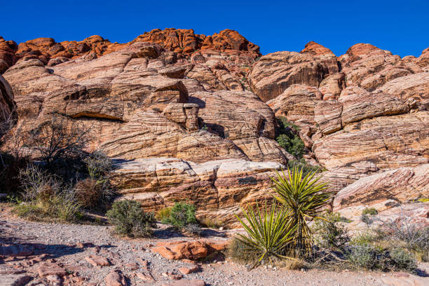 A view in Red Rock Canyon National Conservation Area, Nevada.