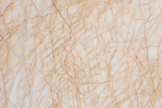 Close-up of a white marble textured background showing natural stone pattern and subtle lines.