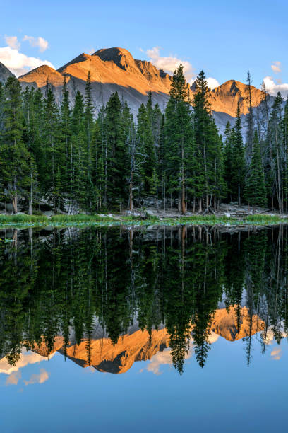 ニンフ湖のロングズピーク - 垂直 - マジェスティックロングズピークは、その頂上に輝く金色の夕日の光で、穏やかな夏の夜に青いニンフ湖に反射、ロッキーマウンテン国立公園、コロラド� - エステスパーク ストックフォトと画像