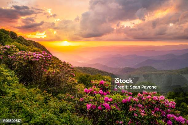 The Craggies In The Blue Ridge Mountains Stock Photo - Download Image Now - Landscape - Scenery, Springtime, North Carolina - US State