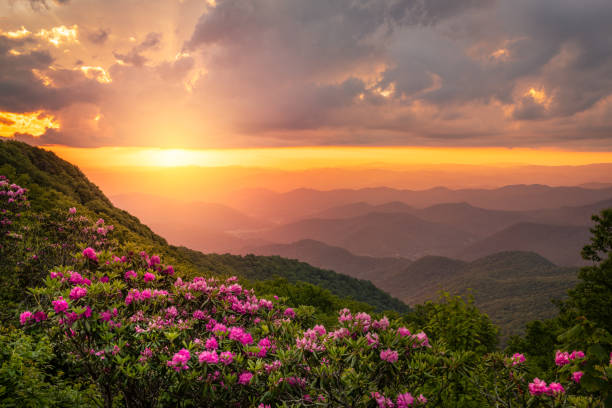 istock The Craggies in the Blue Ridge Mountains 1403500840
