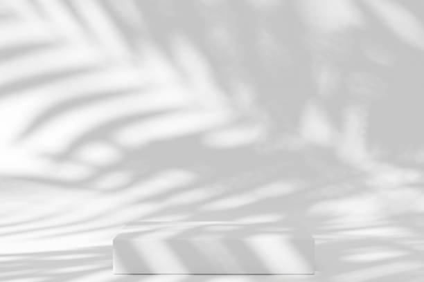 istock White square stand or podium and gentle palm tree plant shadows, 3d render. 1403508234
