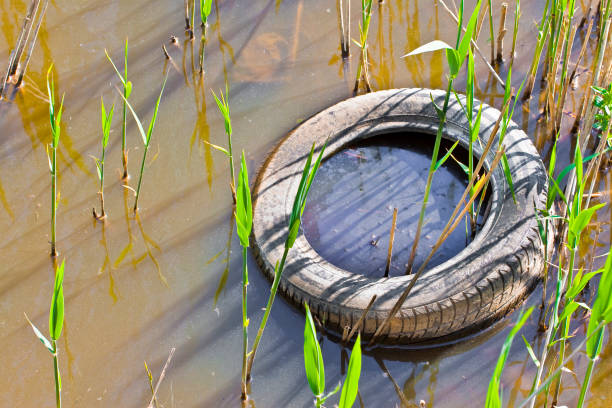 istock Old tire illegally abandoned in a river 1403509505