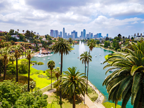 Los Angeles skyline looking from local park