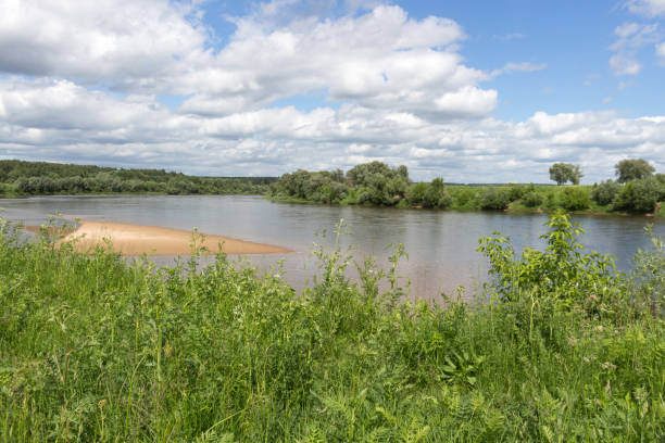 istock Summer rural landscape. Green meadow with tall grass, blue sky with white clouds, river on a sunny day. 1403516347
