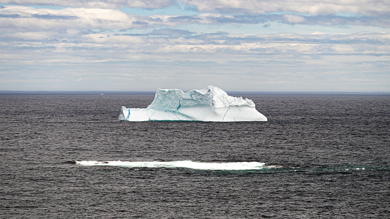 Big Iceberg seen floating on the Labrador Sea taken from a Trail, Newfoundland, Canada