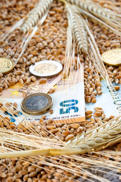 istock Concept of rising costs for wheat 1403521887