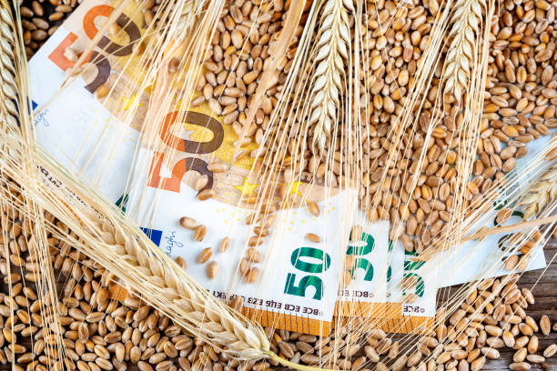istock Concept of rising costs for wheat 1403521890