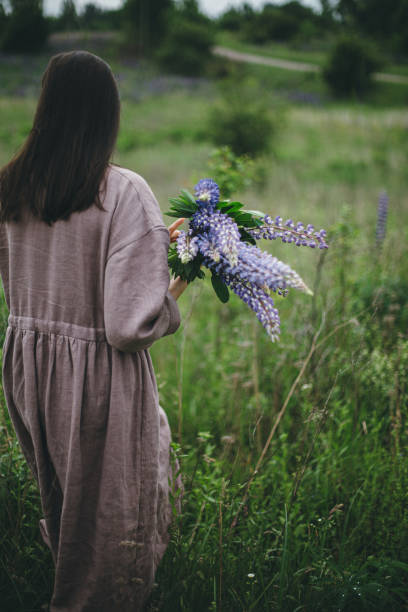 Stylish woman in rustic dress holding lupine bouquet in meadow. Cottagecore aesthetics. Young female in linen dress gathering wildflowers in atmospheric summer countryside, rural slow life Stylish woman in rustic dress holding lupine bouquet in meadow. Cottagecore aesthetics. Young female in linen dress gathering wildflowers in atmospheric summer countryside, rural slow life cottagecore stock pictures, royalty-free photos & images
