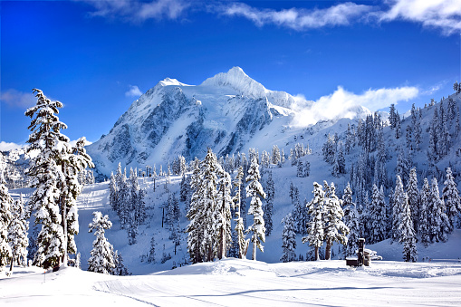 Winter and christmas snowy background with snowdrifts and snow-covered blur forest. Cold winter time landscape with free space.