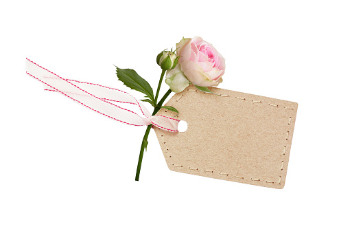 Cardboard label and small rose flower and silk ribbon isolated on white background. Concept of romantic shopping.