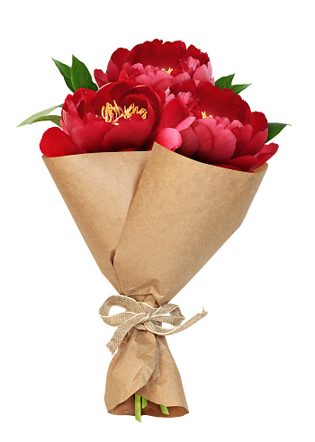 Bouquet of red peony flowers in a craft paper cornet isolated on white. Profile view.