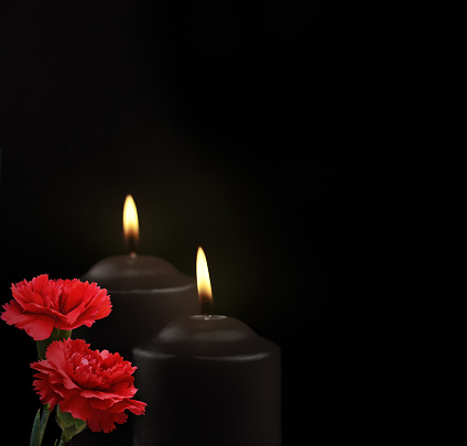 Two black burning candles and pair of carnation flowers on dark background