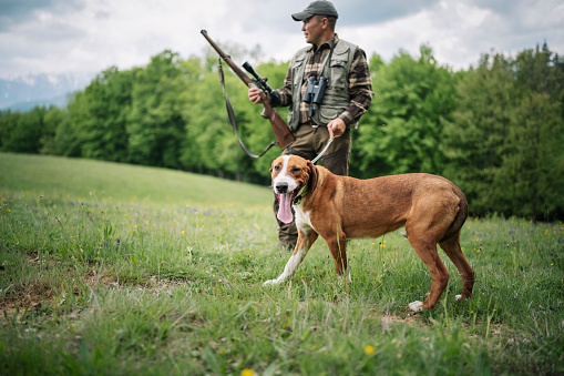 Hunter with hunting dog during a hunt.
