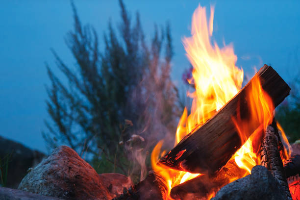 istock Close-up shot of outdoors campfire brightly burning at evening. 1403530308
