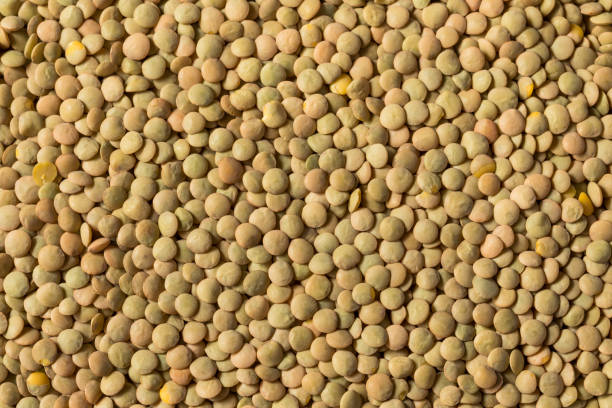 istock Raw Brown Organic Lentils Legumes 1403532877