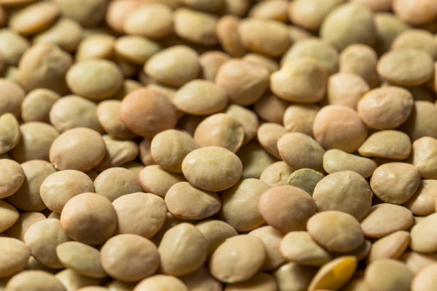 istock Raw Brown Organic Lentils Legumes 1403532889