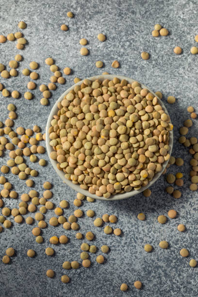 istock Raw Brown Organic Lentils Legumes 1403532910