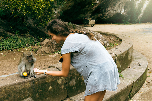 Young attractive female tourist is feeding a wild monkey with fresh fruits in Thailand.