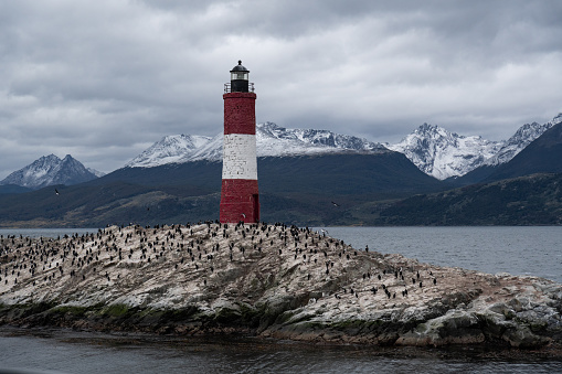 cloudy day, you can see a red and white lighthouse on a rock, where there are many birds. there is a sea and snowy mountains in the distance.