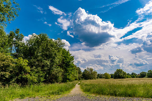 A dirt road winds its way on the border of a forest and an agricultural field against dramatic skies on the horizon