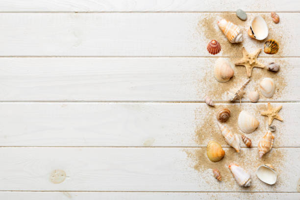 istock Summer time concept Flat lay composition with beautiful starfish and sea shells on colored table, top view with copy space for text 1403552575